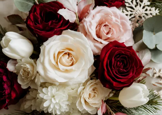 Christmas special flowers