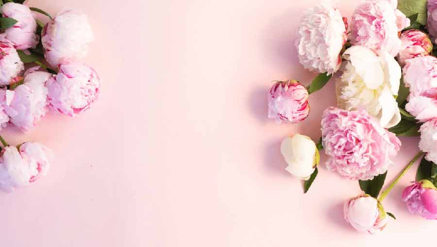 Big Sale on All Bouquets